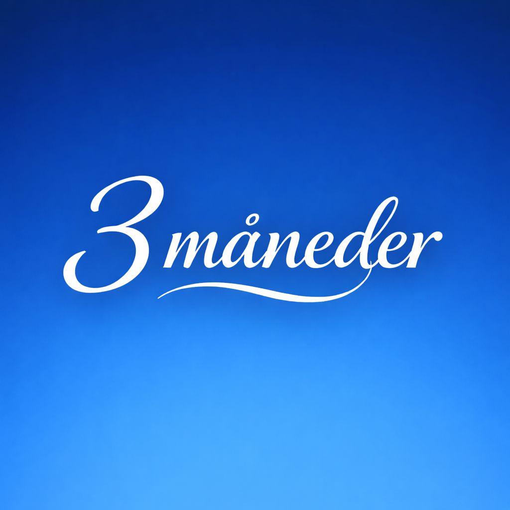3 måneder